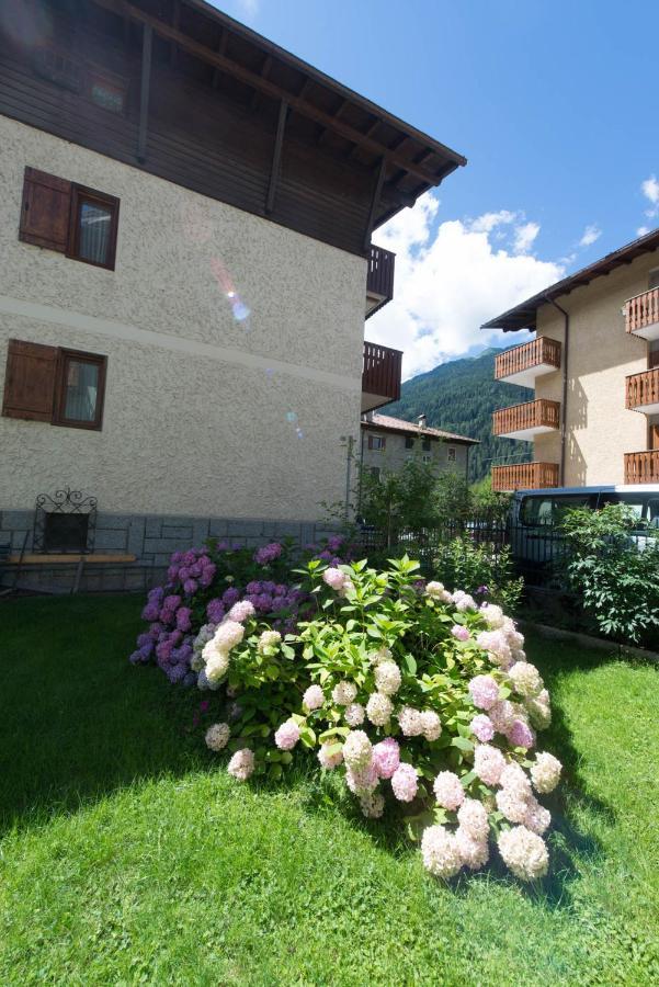 Residence Alpen Casavacanze Pinzolo Exterior foto
